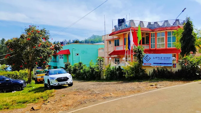 Lush coffee estate in Yercaud